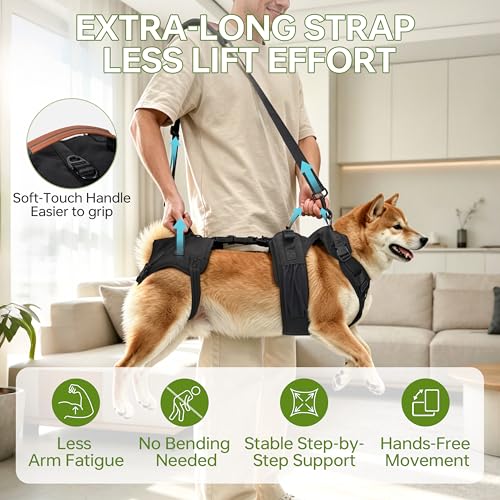 Dog Lift Harness for Male Dogs Full Body Support for Recovery & Mobility（L） (Chest Girth 25.5-31.5")
