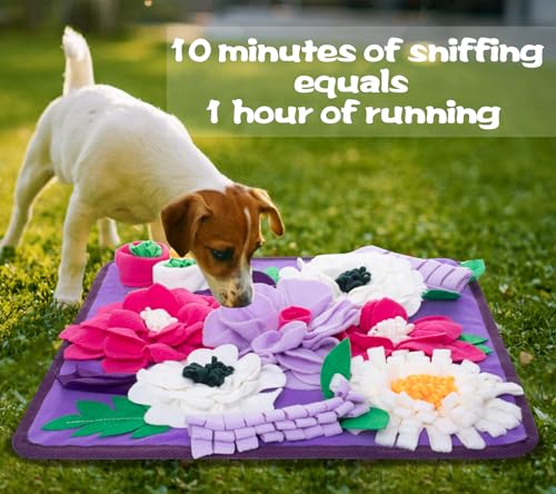 Snuffle Mat for Dogs (purple)