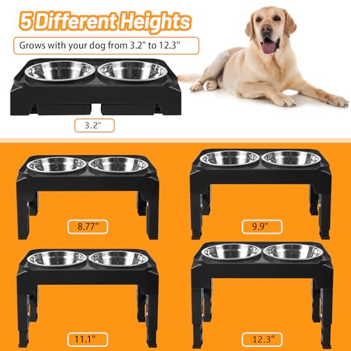 Elevated Dog Bowls with 2 Stainless Steel Food & Water Raised Bowls with No Spill Edge Non (M (8" for M/L Dogs) / Black)