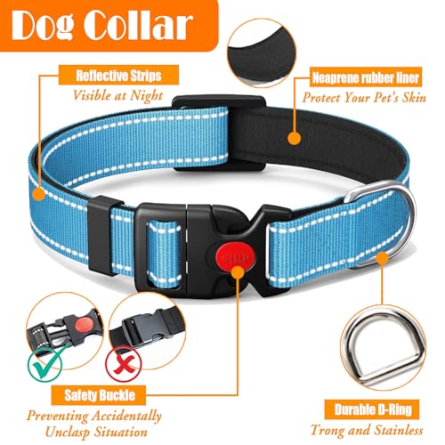 No Pull Dog Harness (X-Large / Blue)
