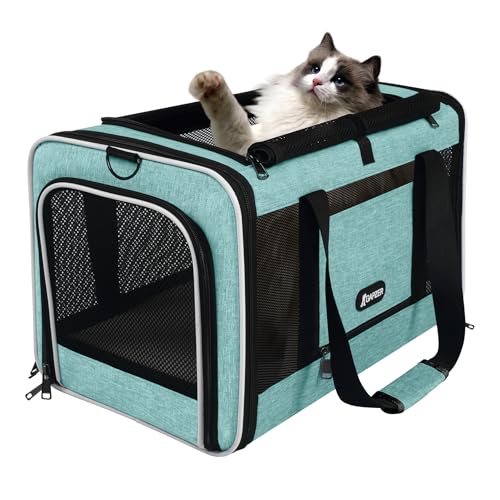 Cat Carrier 18"x11"x11" TSA Approved Ventilated Pet Air Travel Cage (Turquoise / 18.0"L x 11.0"W x 11.0"H)