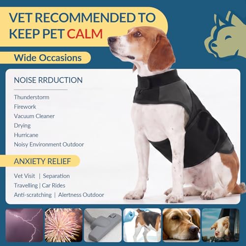 Weighted Dog Vest for Separation (Grey / XL(Chest:30.7"-35.4"))