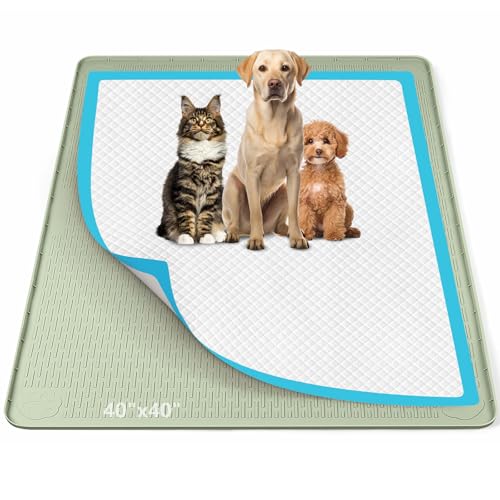 Pee Pad Holder for Dogs 40''x40'' Silicone Puppy Pee Pad Tray (Green)