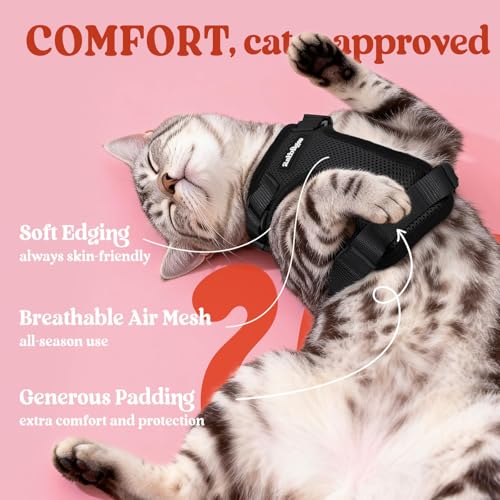 Cat Harness and Leash Set (Xxs / Black)