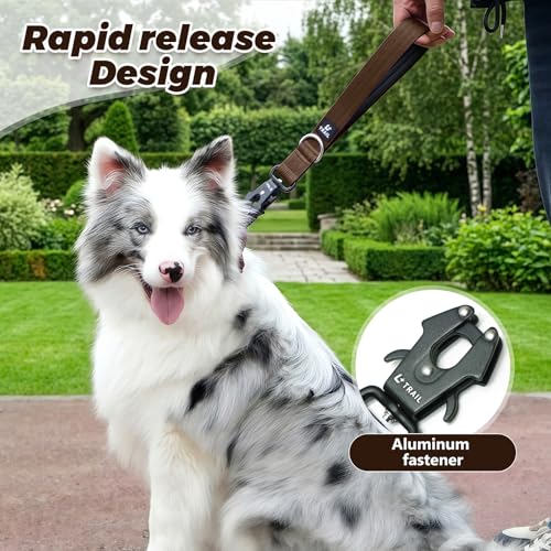14 Inch Traffic Dog Leash with Padded Handle (Brown)