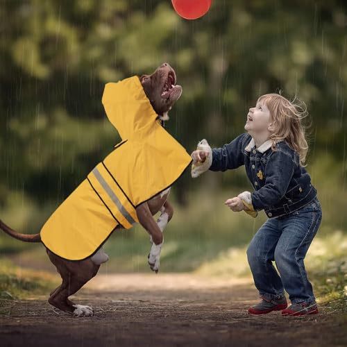 Raincoat Dogs (Yellow / Small)