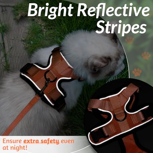 Cat Harness and Leash Set (S / Orange)