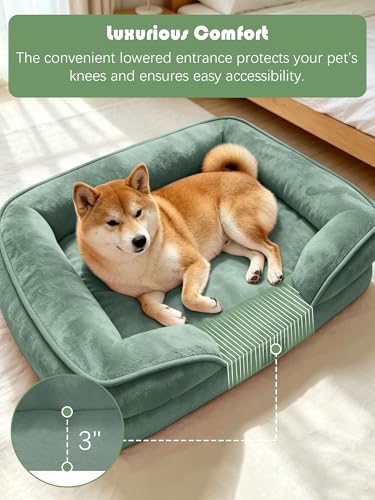 Orthopedic Dog Bed with Sides (28.0"L x 23.0"W x 6.5"Th / Green)