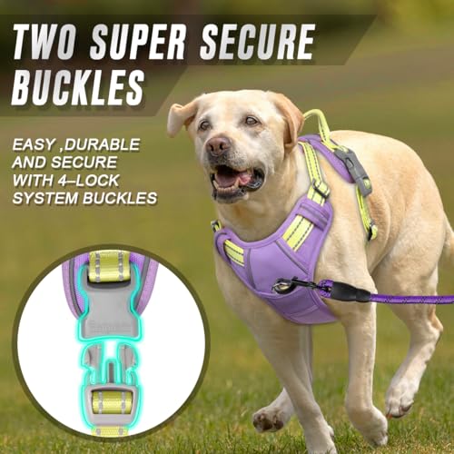 Dog Harness No Pull for Medium Sized Dog Front Back Clips (Medium(Chest:22.5-28") / Violet Purple & Sunlight)