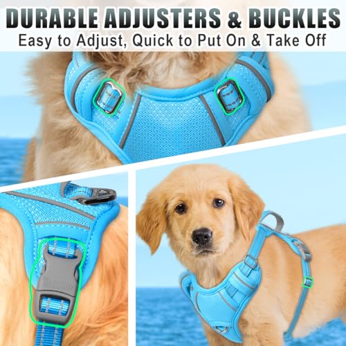 Dog Harness for Small Sized Dog No Pull Dog Vest ID Tag Pocket (Blue / Small)