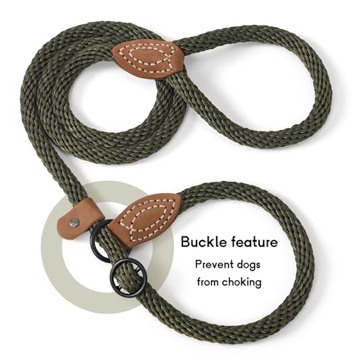 Heavy Duty Slip Lead No Pull Leash w Leather (Drak Green / 4 Feet)
