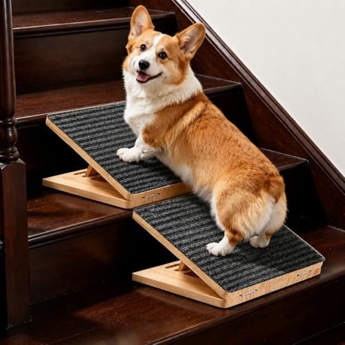 Dog Ramp for Stairs