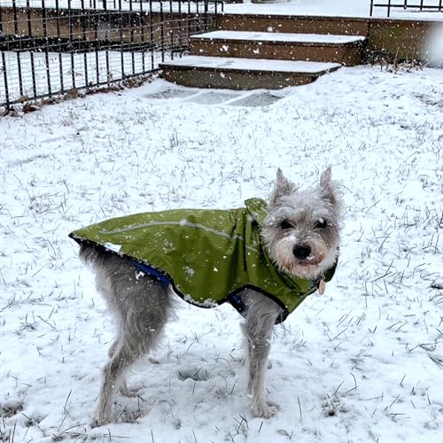 Dog Raincoat Adjustable Waterproof Reflective Rain Jacket for Small Medium Large Dogs (S Chest 22"-25" / Lime Yellow)