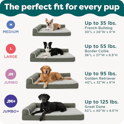 Orthopedic Dog Bed for Large Dogs w (Jumbo Plus / Deep Sapphire)