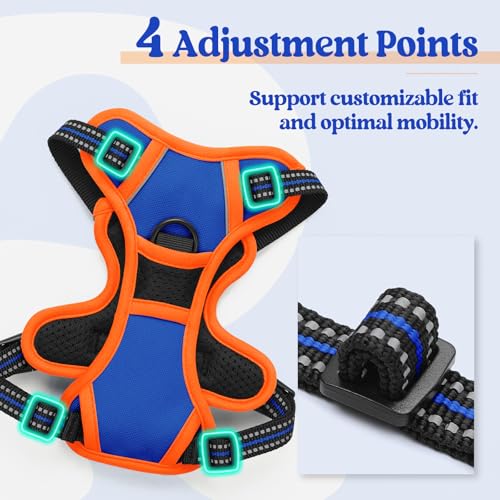 Dog Harness No Pull for Small Dogs with 2 Leash Clips (X-Small / Blue & Orange)