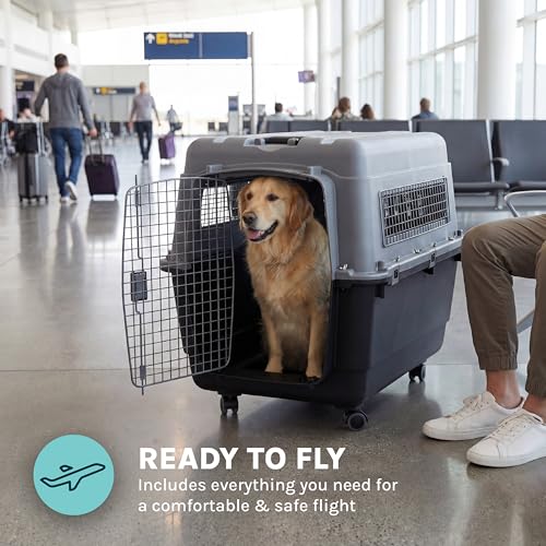 SportPet Airline Compliant X (Dark Gray)