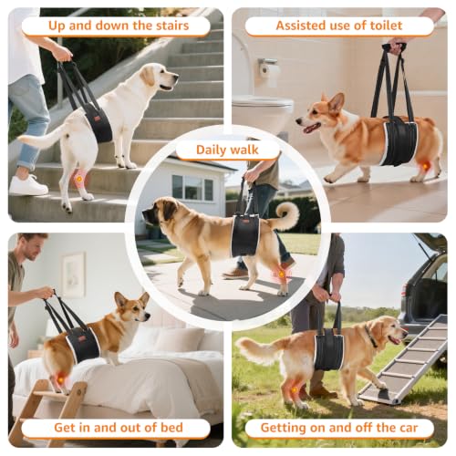 Adjustable Dog Sling for Large Dogs Hind Leg Support ACL Recovery (Extra Large)