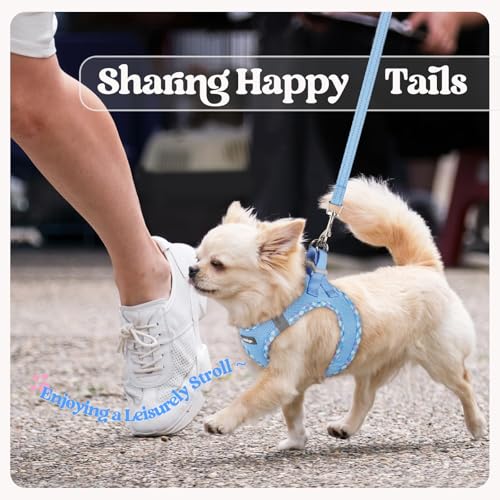 Dog Harness Medium Sized and Leash Set (Blue & Plaid Trim / M (chest: 16 - 18.5"))