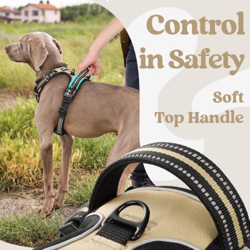 Dog Harness for Large (X-large / Beige)