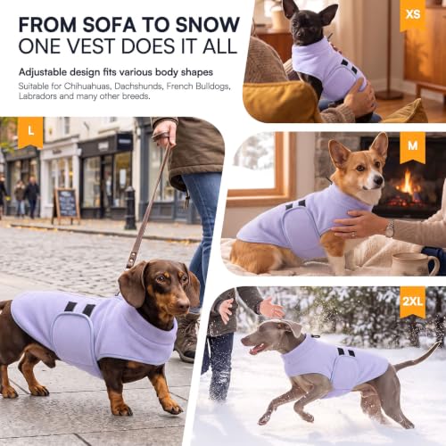 Small Dog Sweater (Lilac / Small)