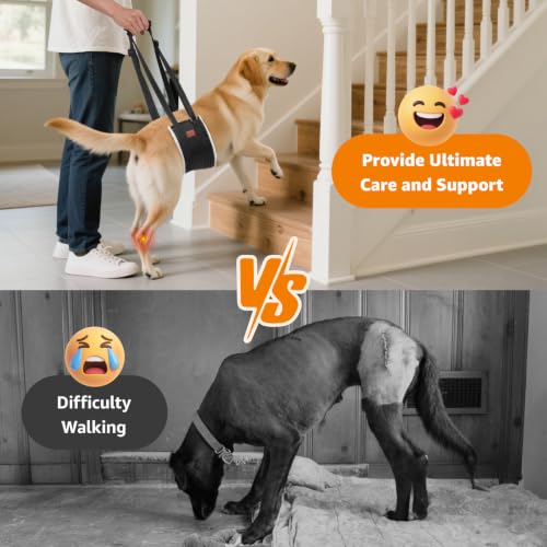 Dog Lift Harness for Large Dogs Hind Leg Support for Weak Rear Legs (Black / X-Large)