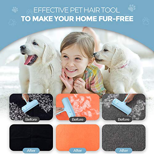 Pet Hair Remover Roller (B: Blue（exclusive Color）)