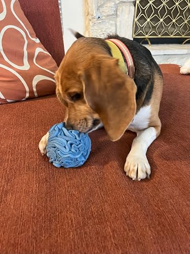 Puppy Small Breed Snuffle Dog Puzzle Ball Toy Blue Extra Small (Blue / Extra Small)