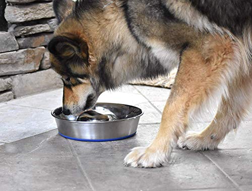 OurPets DuraPet Slow Feed Premium Stainless Steel Bowl (Medium (4.5 Cups))
