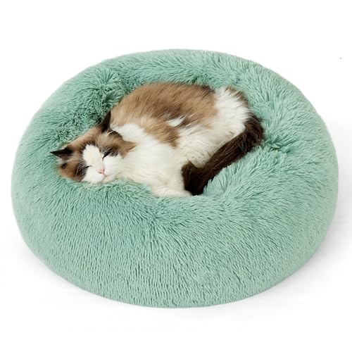 Calming Cat Beds Donut Round Washable Kitten Bed (20"L x 20"W x 6"Th / Apple Green)