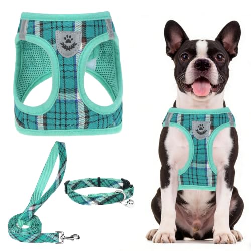 Dog Harness Collar and Leash Set No Pull for Small Medium Sized (Lake Green / L (CHEST 18"-20"))