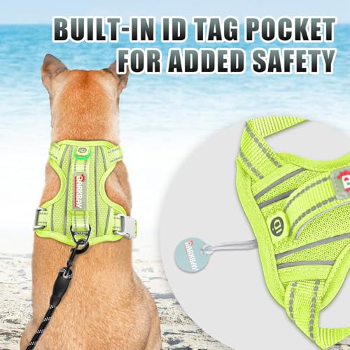 Dog Harness for Medium Sized Dog No Pull Dog Vest ID Tag Pocket (Sunlight / Medium)