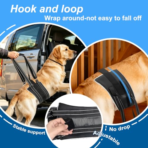 Dog Lift Harness for Large Dogs