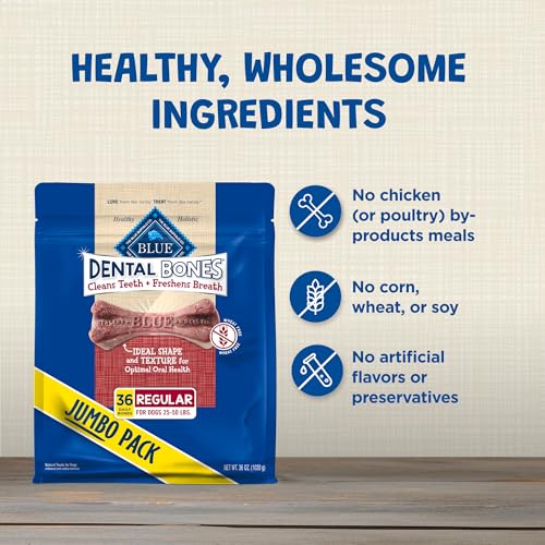 Regular Dental Bones (2.25 Pound (Pack of 1))