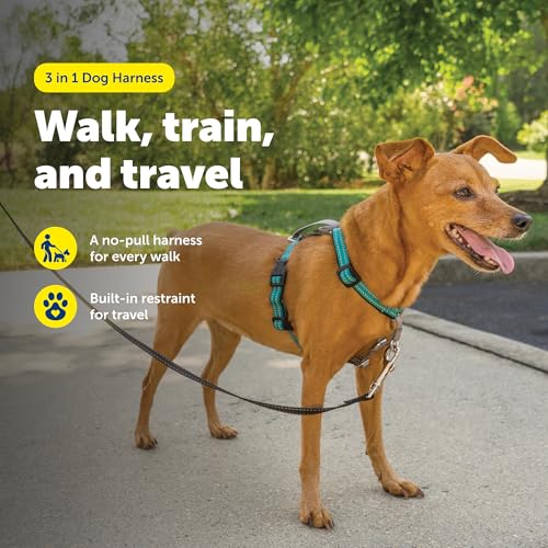 Easy Walk 3 in 1 No Pull Dog Harness (Teal / Extra Small (Pack of 1))