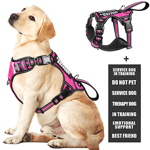 Service Dog Vest No Pull Dog Harness with 7 Dog Patches (Large / Rose Pink)