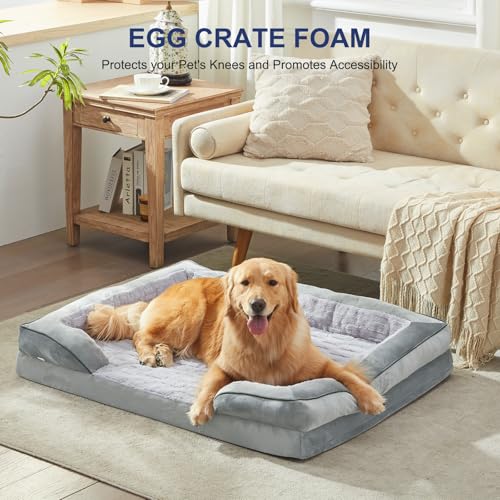 Orthopedic Supportive Large Dog Bed (42.0''l x 32.0''w x 6.5''th / Light Grey)