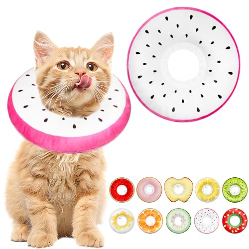 Cat Cone Collar Soft (Dragonfruit / Small)