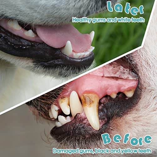 200 Count Dog Toothbrush Double Headed Long Handle Soft (Blue)