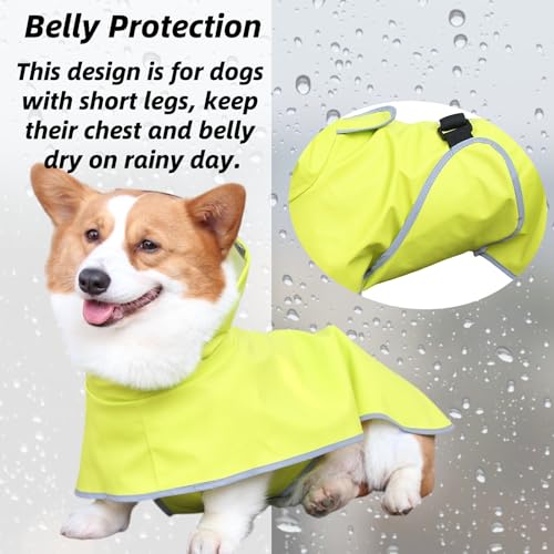 Dog Rain Jacket with Hood for Small Pet (Light Green / X-Small)