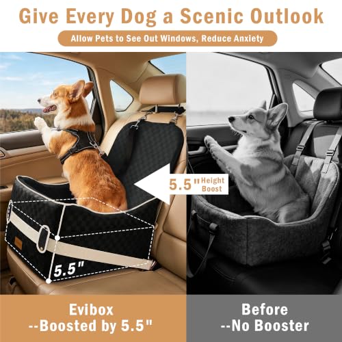 Dog Car Seats for Small Dogs (Black / Medium)