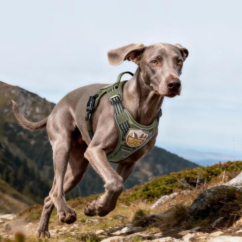 Tactical Dog Harness for Large Dogs (L(Chest:22"-37",Neck:21.1"-30.3",Back:8.3") / Green Camo)