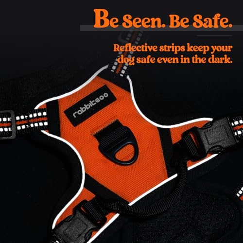 Dog Harness No Pull with 2 Leash Clips (X-Small / Orange)