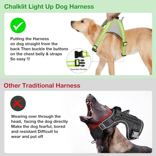 Light Up Dog Harness (Small / Green)
