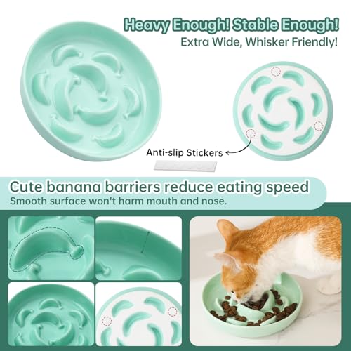 2 Pack Ceramic Cat Slow Feeder Bowl Set (White and Green)