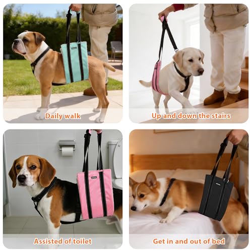 Dog Lift Harness for Senior (Pink / L)