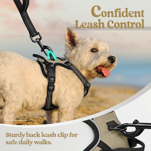 Dog Harness No Pull with 2 Leash Clips (X-Small / Beige)