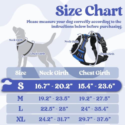 Dog Harness Small Sized (Small / Blue)