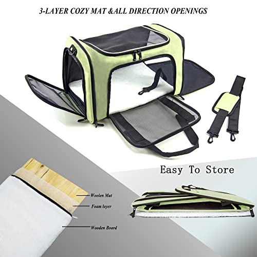 Soft Sided Carrier for Small Medium Cats Dogs (17.0"L x 11.0"W x 11.0"H / Green)