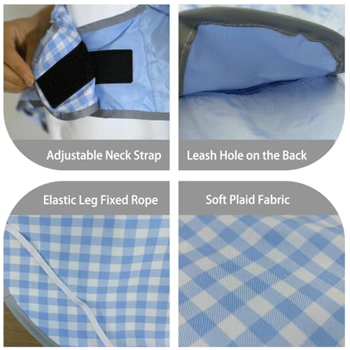 Dog Raincoat Reversible (Light Blue / Small(9-13lb))