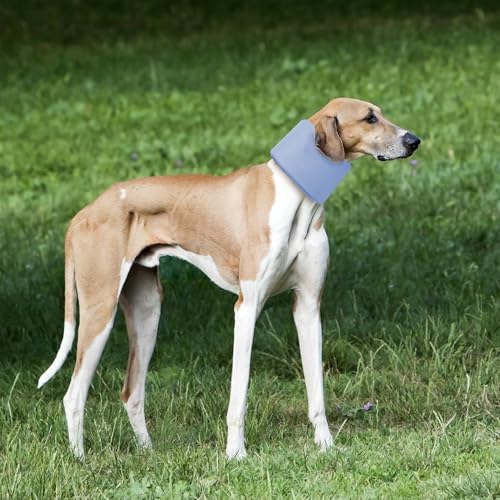 Dog Neck Brace for Pet After Surgery Recovery Adjustable Breathable Neck Cervical Cone (Blue / XL)